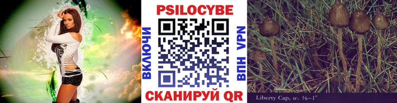 Псилоцибиновые грибы Magic Shrooms  Купить где  Губкинский 